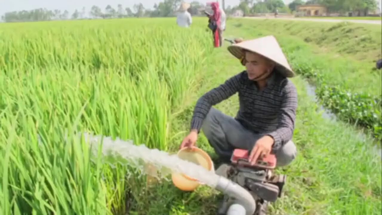 Hoạt động khám phá   Tìm hiểu về nghề nông dân