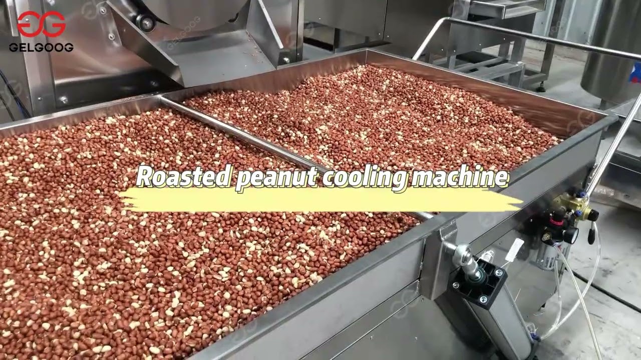 Commercial Peanut Roasting Machine|Peanut Peeling Machine Price