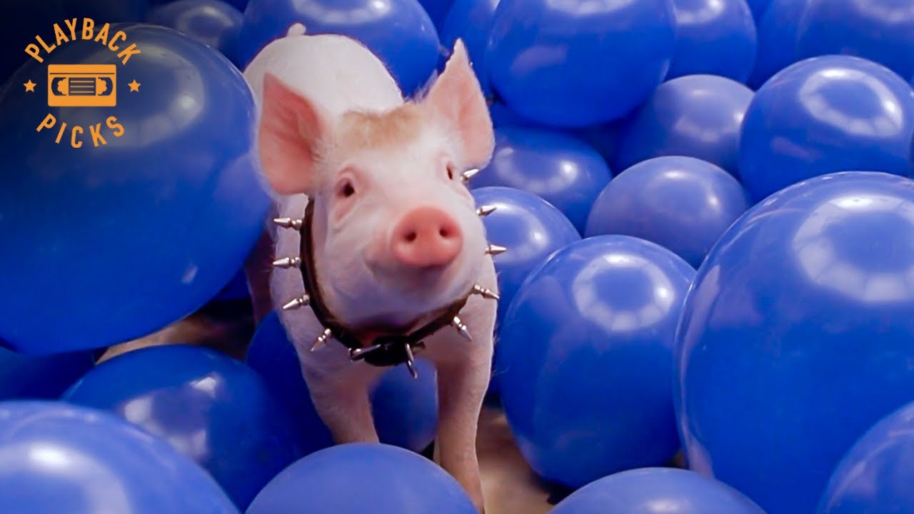 The Blue Balloon Scene | Babe: Pig in the City
