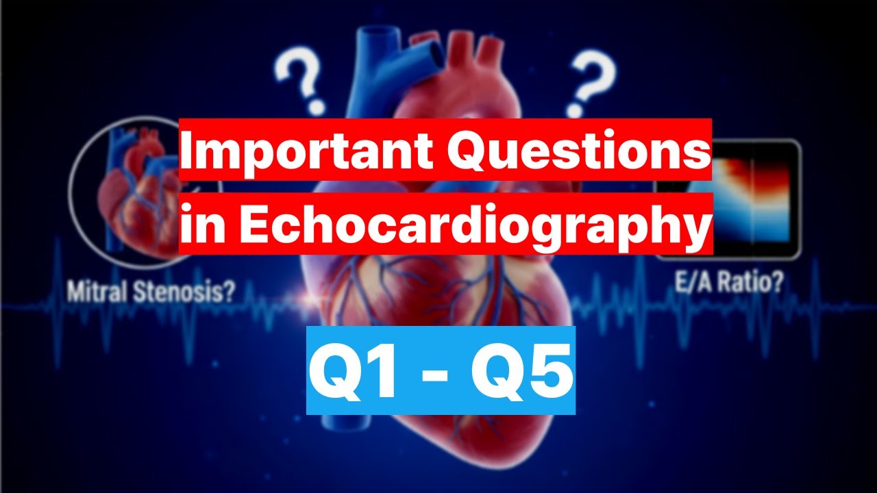 (1) Important Questions in Echocardiography (Q1 - Q5)