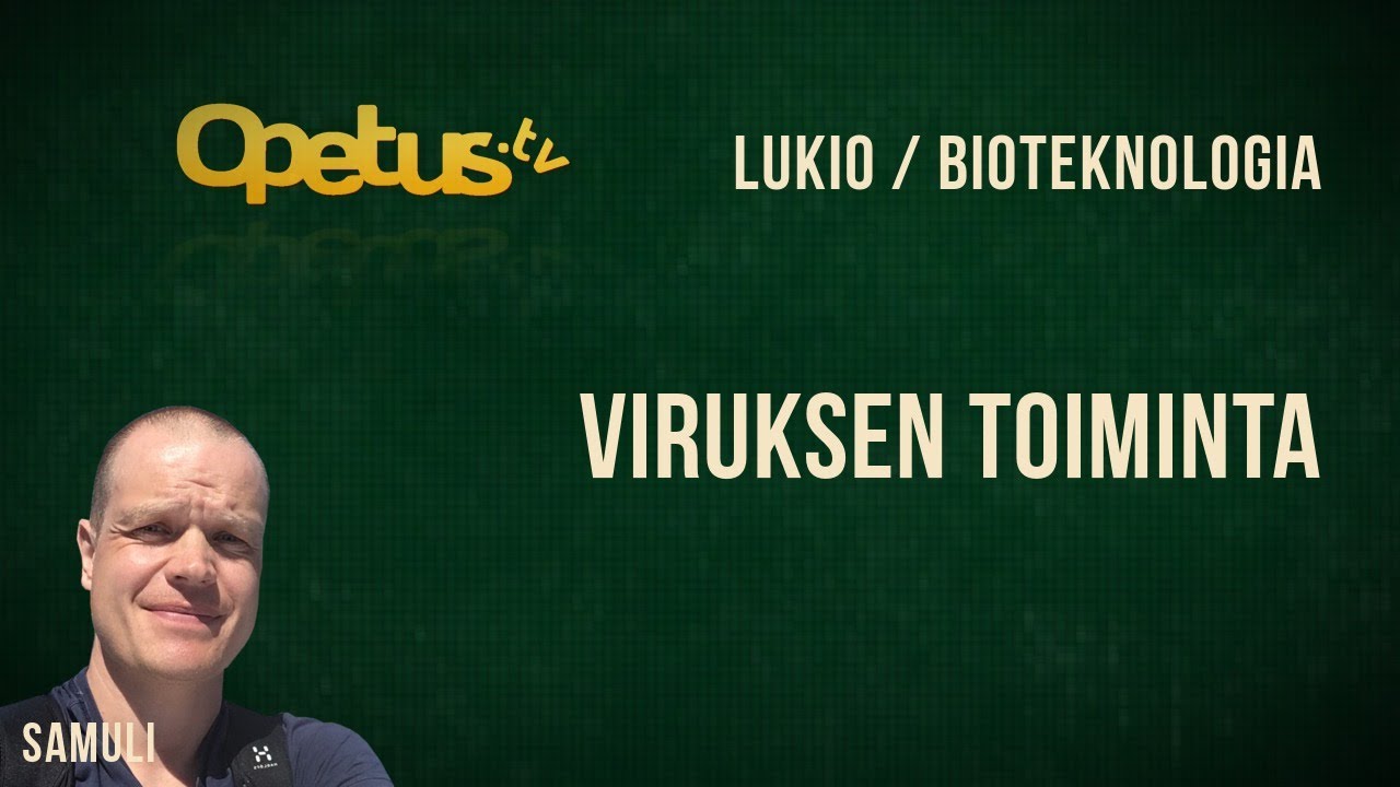 Viruksen toiminta
