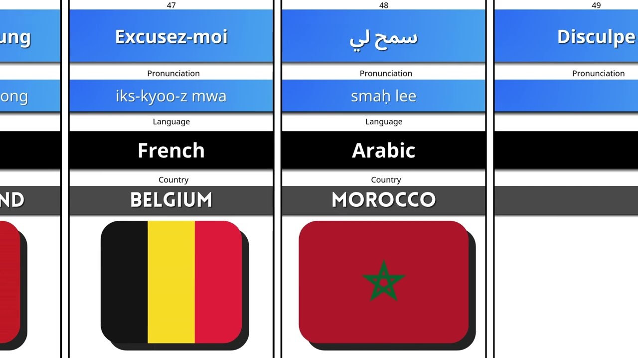 Excuse Me in 50 Languages 🌍 | Learn Attention Phrases Worldwide