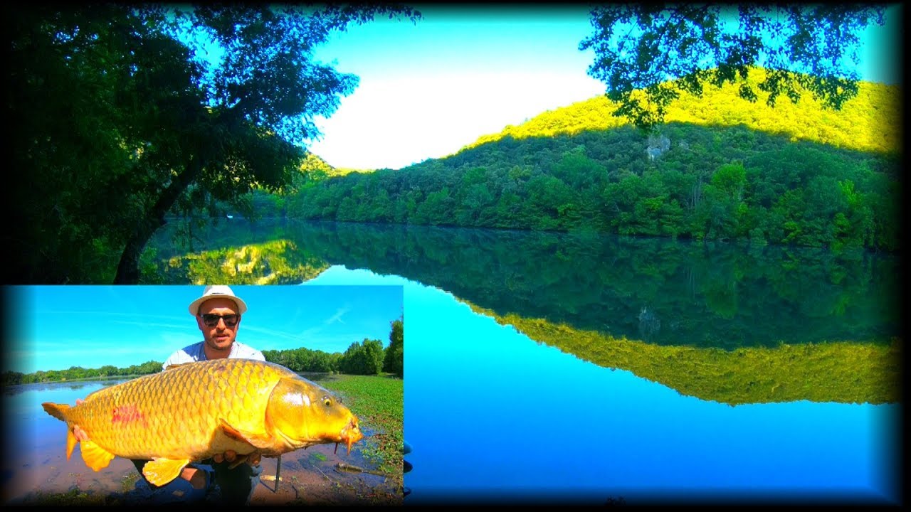 PECHE A LA CARPE AU PARADIS !