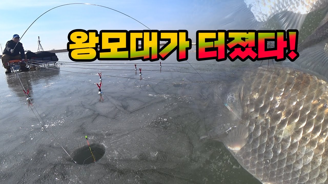 가온[붕어얼음낚시]Ver44. 해빙기 왕모대가 터졌다! 구독자 긴급메세지 도착!