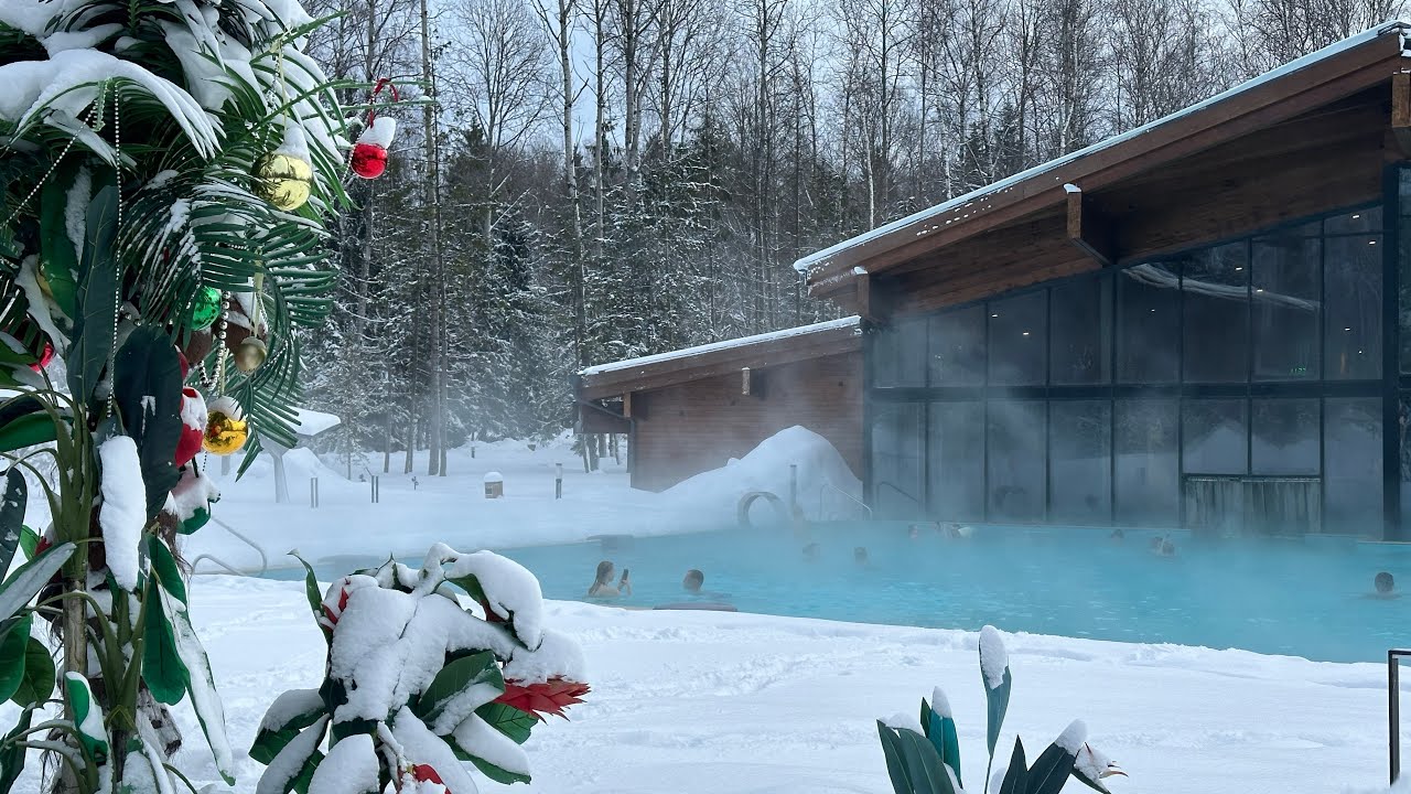 Блог - Отель &laquo;LES Art Resort&raquo; 2024