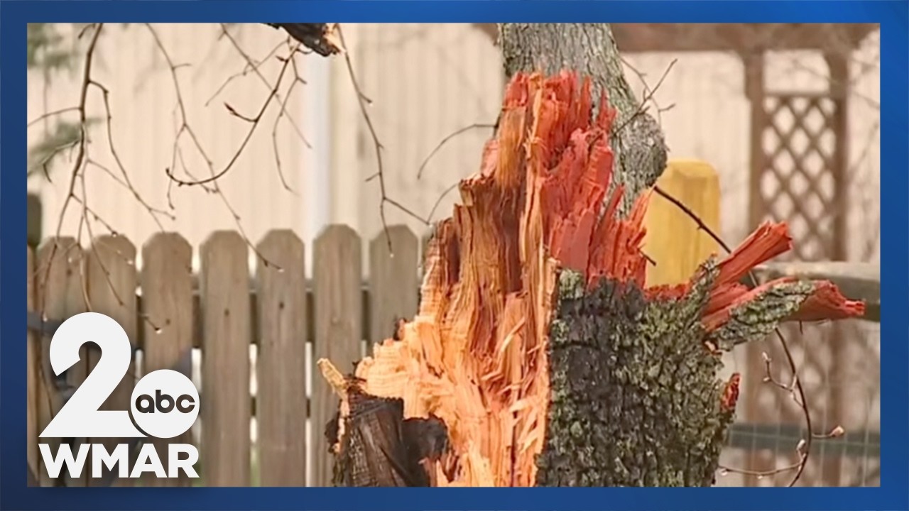 В понедельник после штормов и предупреждений о торнадо были зафиксированы незначительные поврежде...