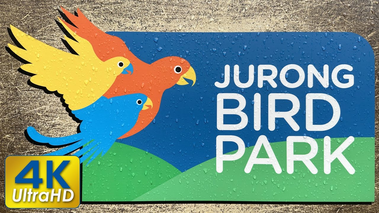Jurong Bird Park - A Flight to Remember! - Last day on 3 Jan 2023 | SingaporeIsland