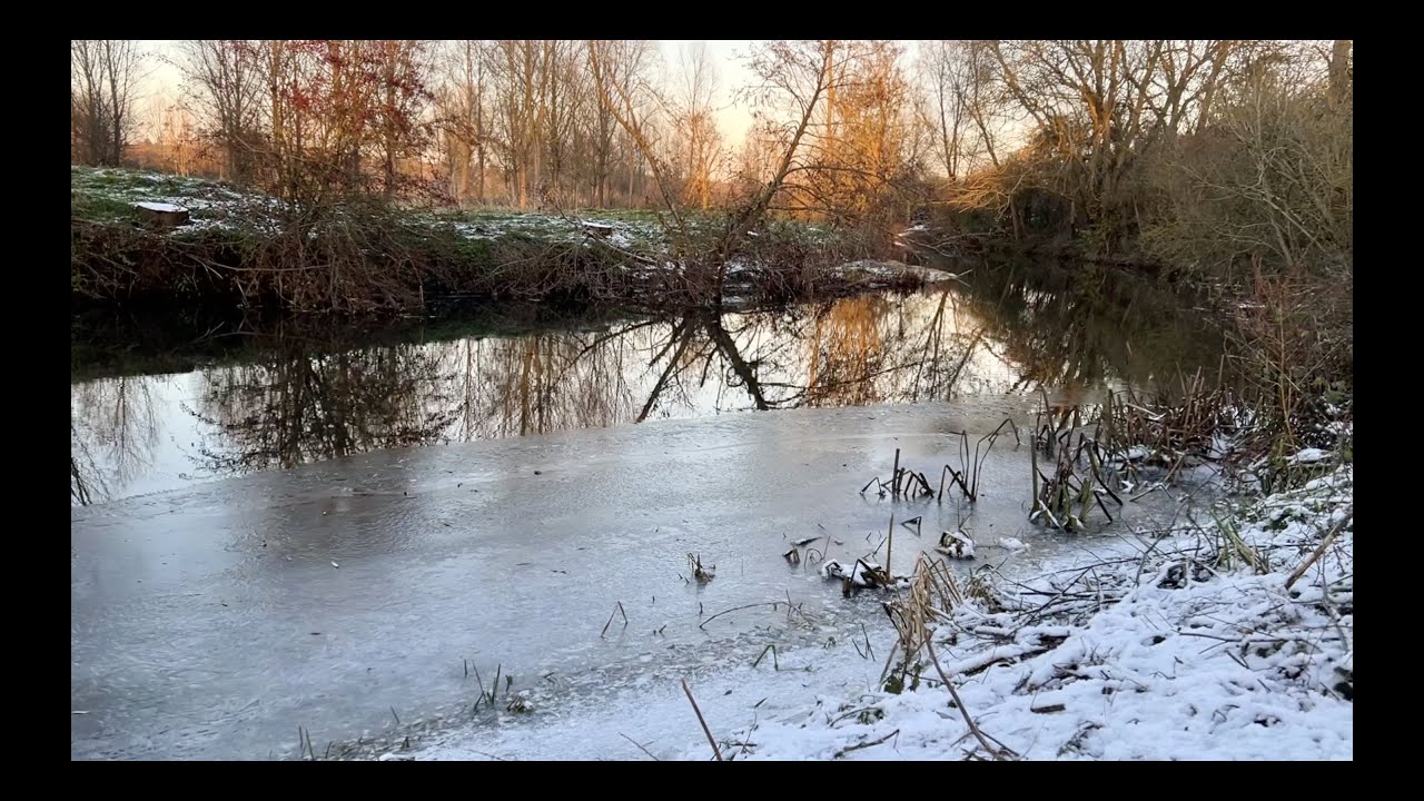 Chub fishing on the Essex Stour
