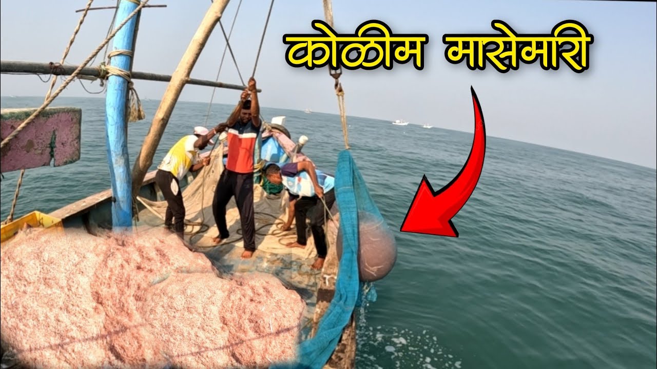 मासेमारीच्या पहिल्याच दिवशी भेटला भरपूर कोळीम 🦐😱 
