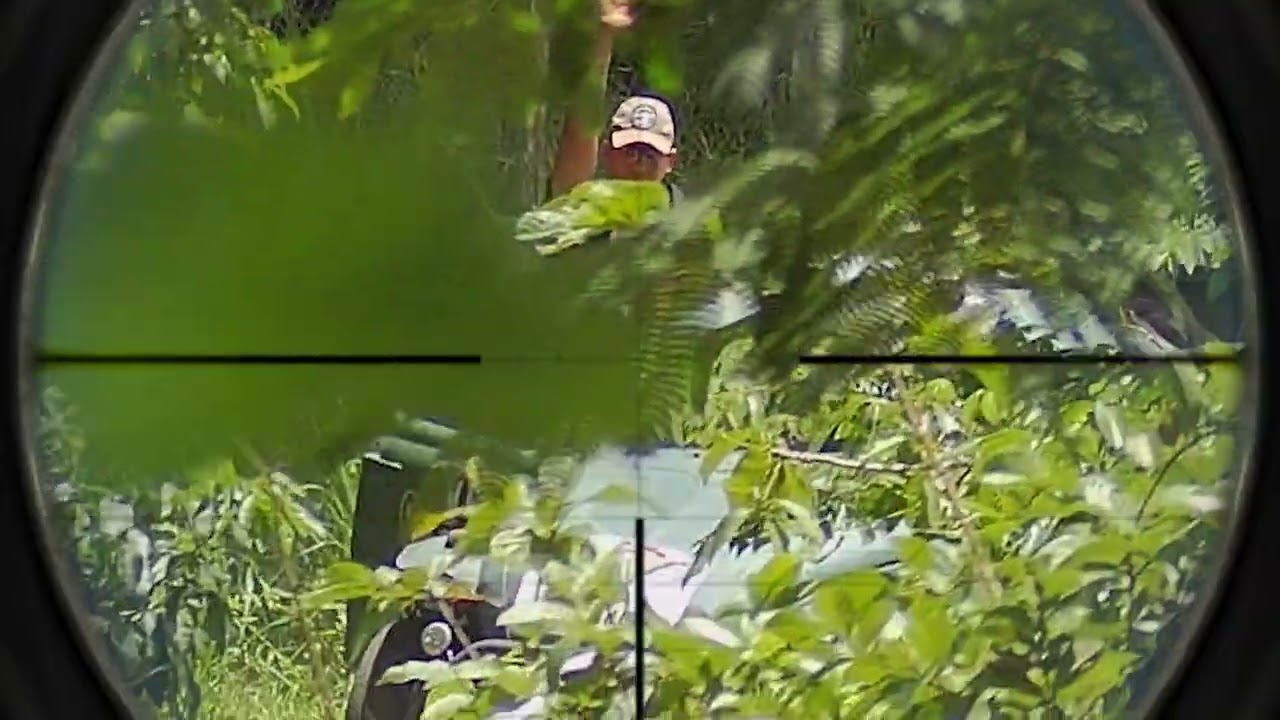 Silverback Tac 41 em ação.