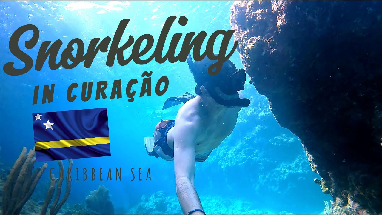 INCR&Iacute;VEL - Muita vida marinha em Daaibooi Beach & Kenepa Grandi - Cura&ccedil;ao