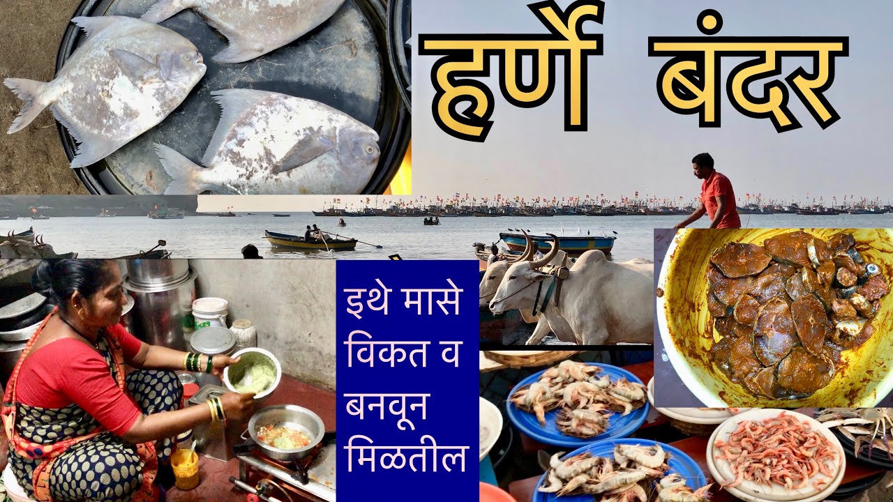 आता हर्णे बंदर ला मासे विकत आणि बनवून दोन्ही मिळेल 🦀/HARNE  fish market DAPOLI#dapoli #fishing