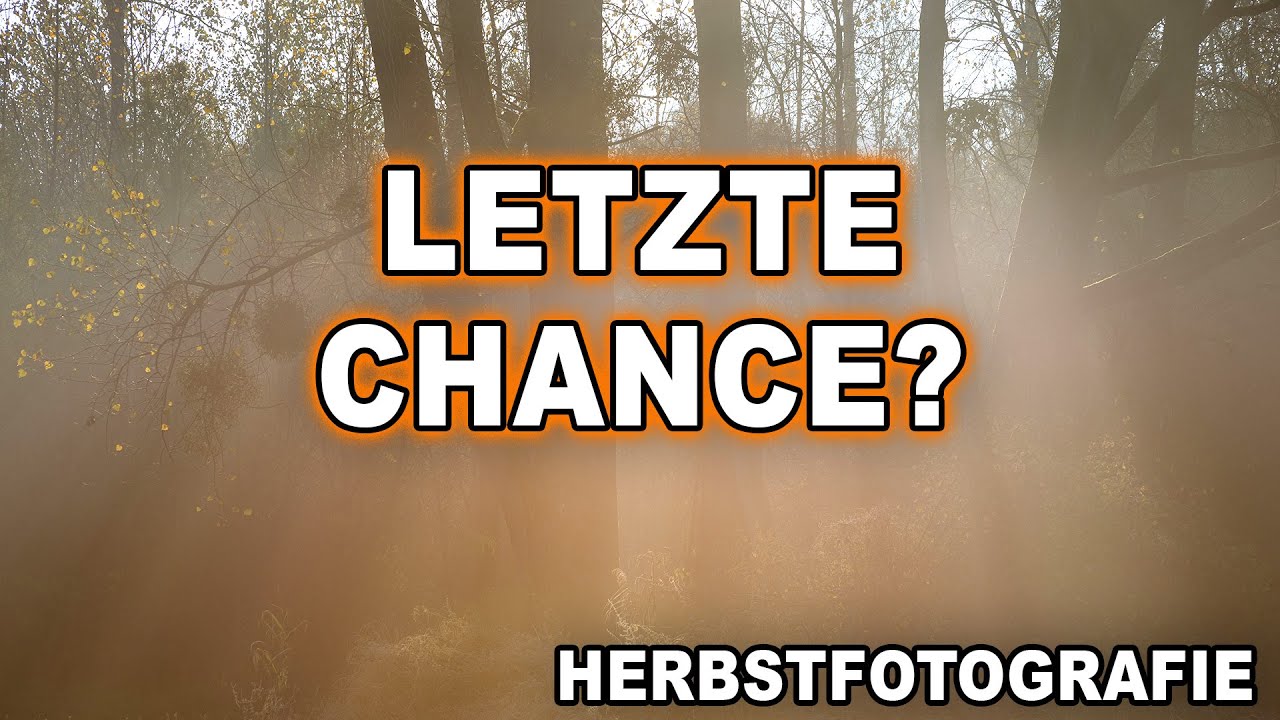 LANDSCHAFTSFOTOGRAFIE im HERBST | Letzte Chance für BUNTE BLÄTTER