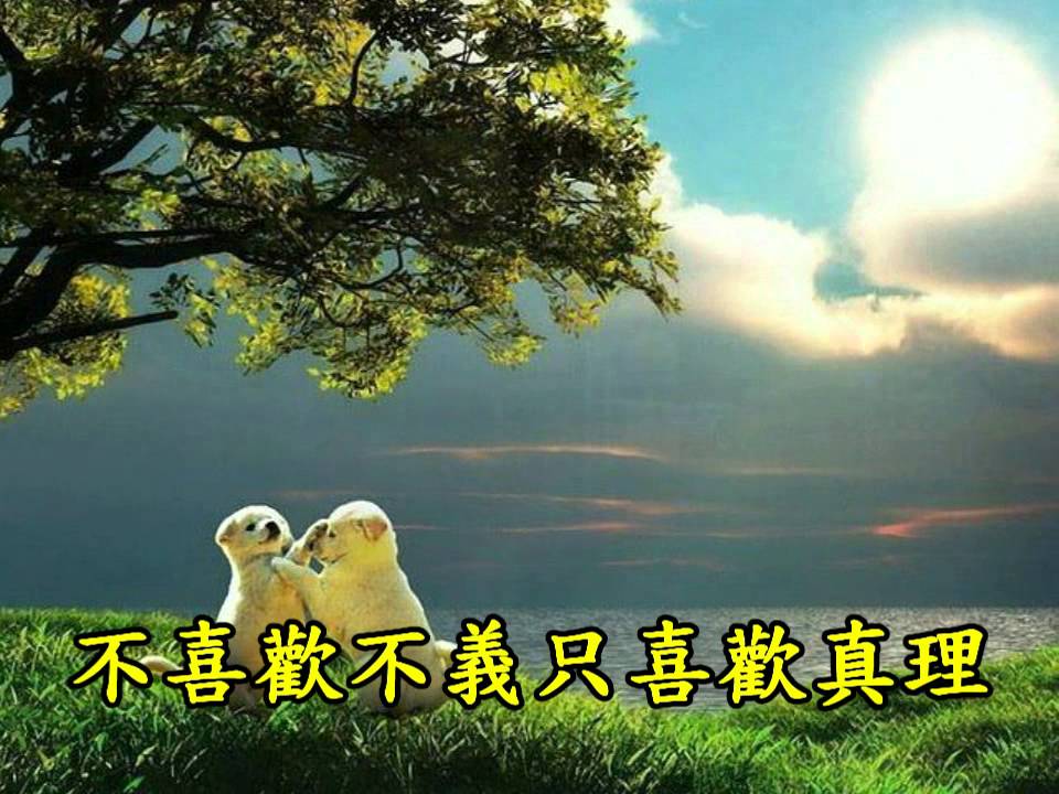 愛的真諦