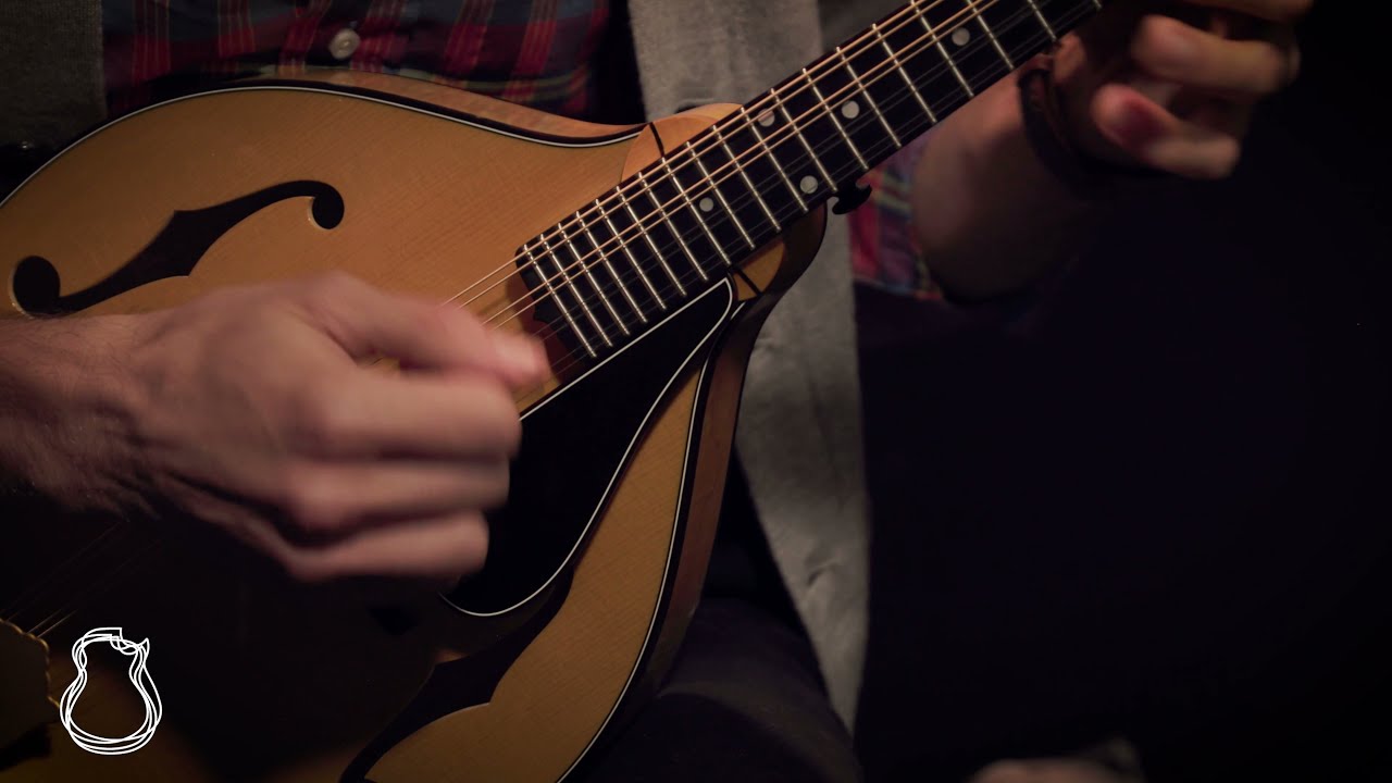 Pava A5 Professional | Jordan Santiago