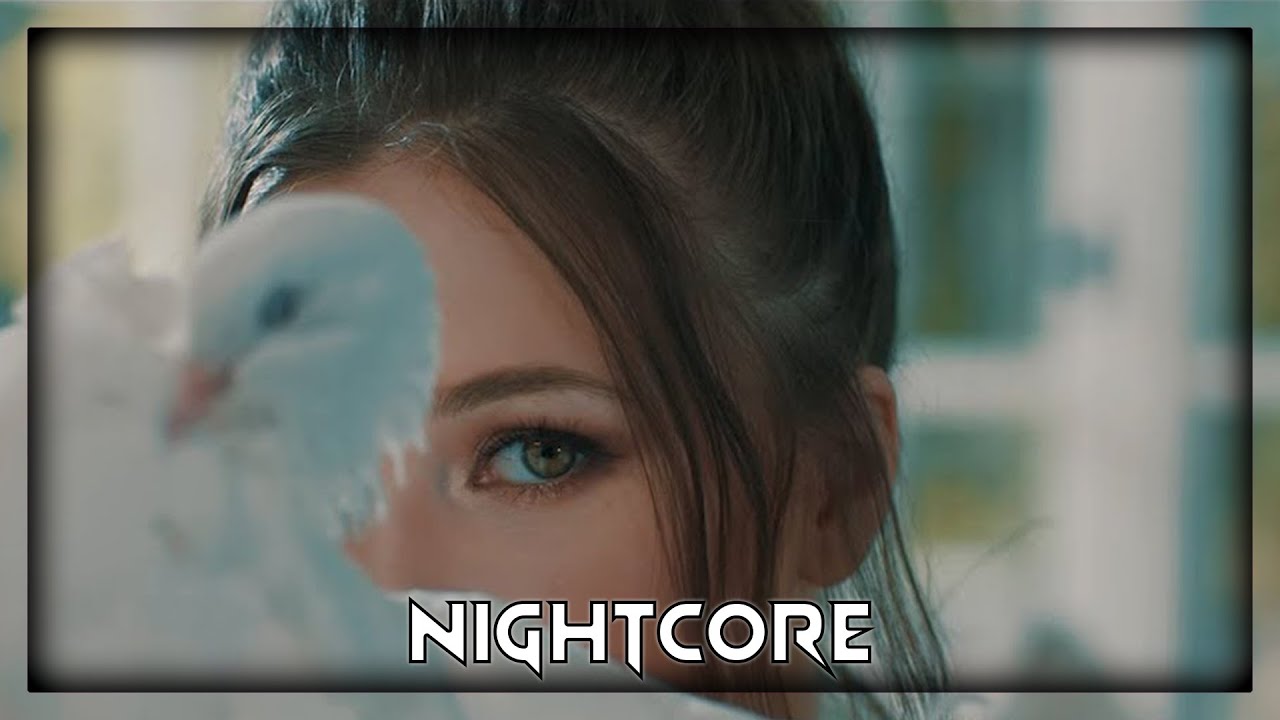 Ioana Ignat X Edward Sanda - In Palma Ta (Nightcore | Speed Up)