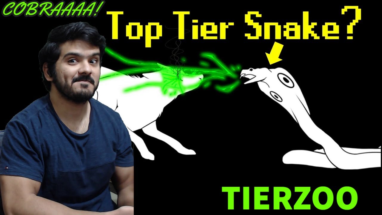 The Snake Tier List (TierZoo) CG Reaction
