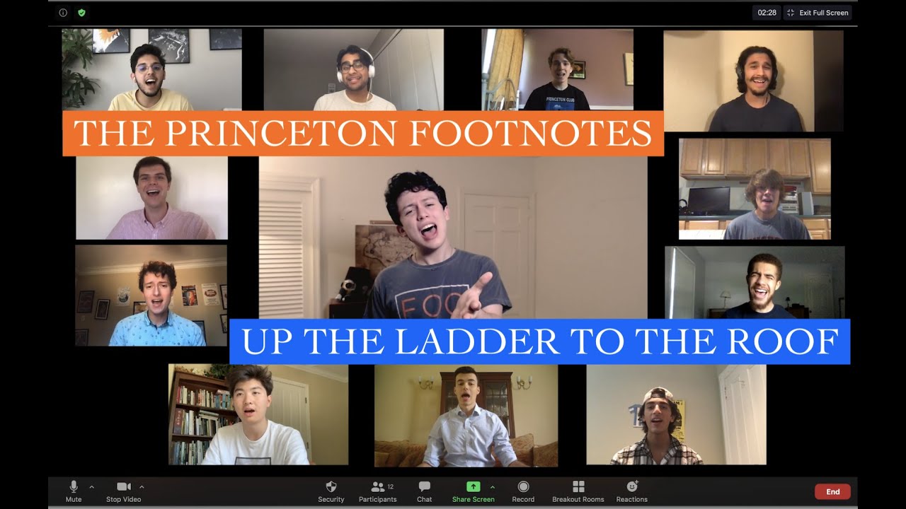 Up the Ladder to the Roof - The Princeton Footnotes (The Supremes Cover)