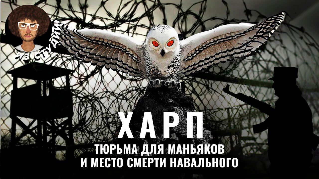 Тюрьма, из которой не выходят: «Полярная сова» | Где сидят маньяки и как отбывают пожизненный срок