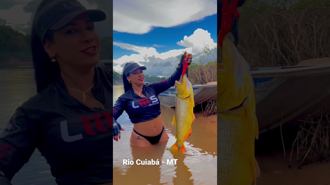 Pesca de Dourado no Rio Cuiab&aacute; em Mato Grosso 🎣🥰