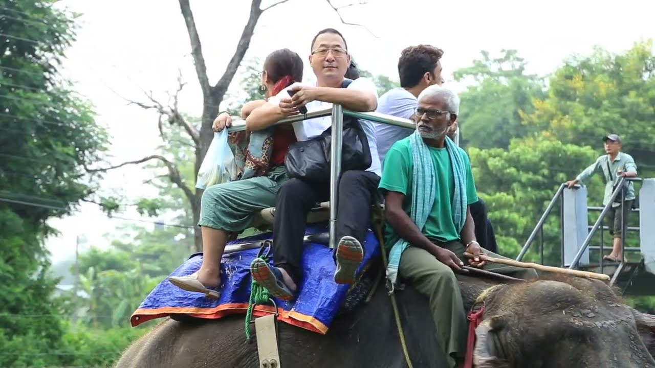 Jungle Safari In Chitwan National Park by Elephant, Jeep & Walk