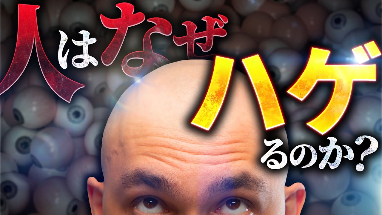 【驚愕】絶対に知っておきたい人間がハゲるメカニズム