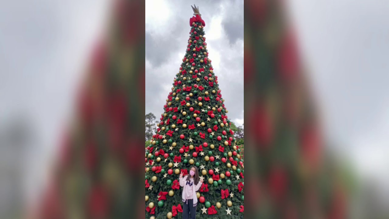 Tour na cidade.