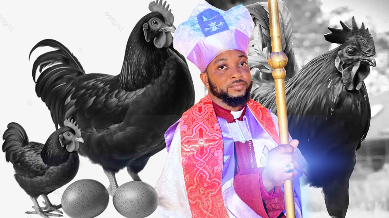 Cook One Egg From A Black Hen With Urine - Saam David Teaches Mystery Of Black Hen
