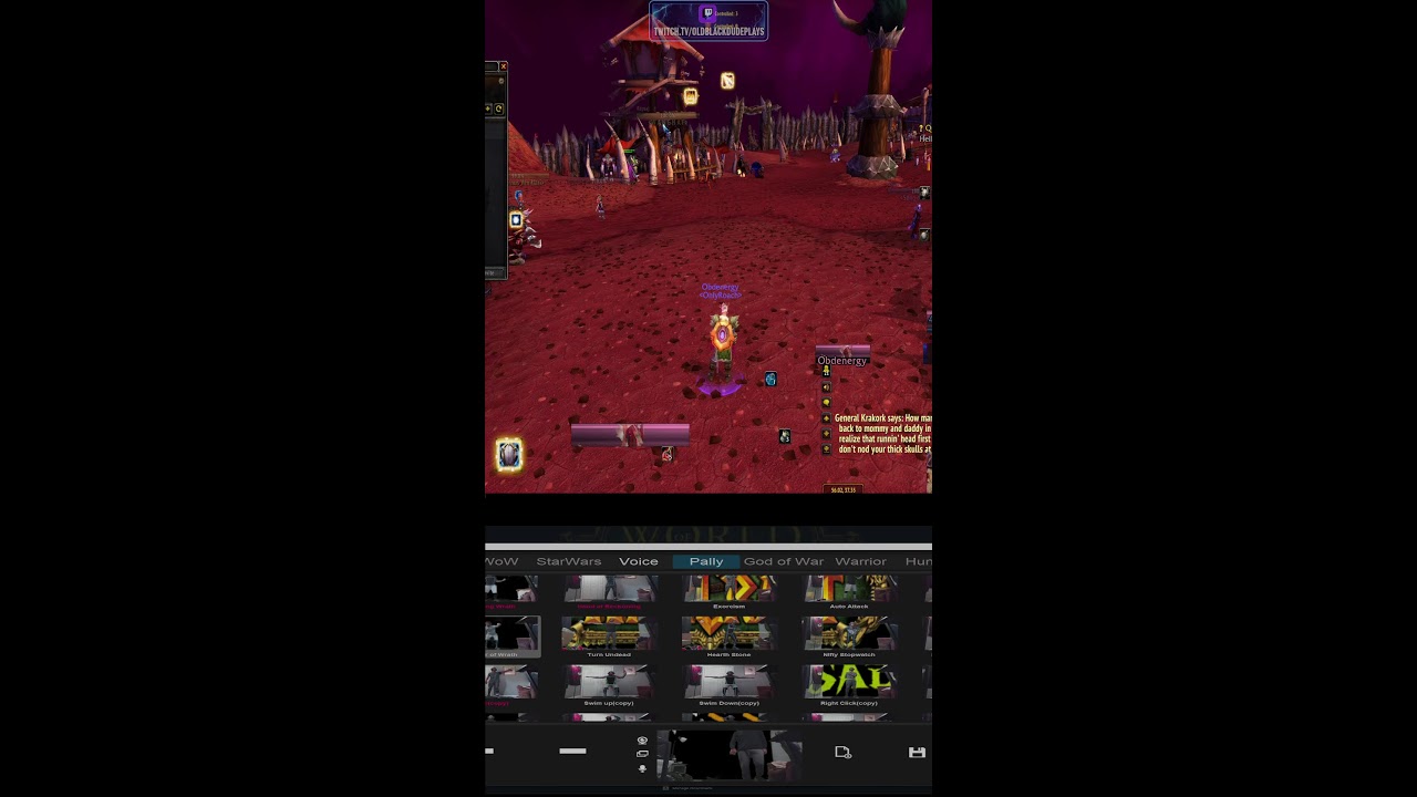 WoW TBC Classic HC Motion Capture Warrior Tank /Holy Paladin!!