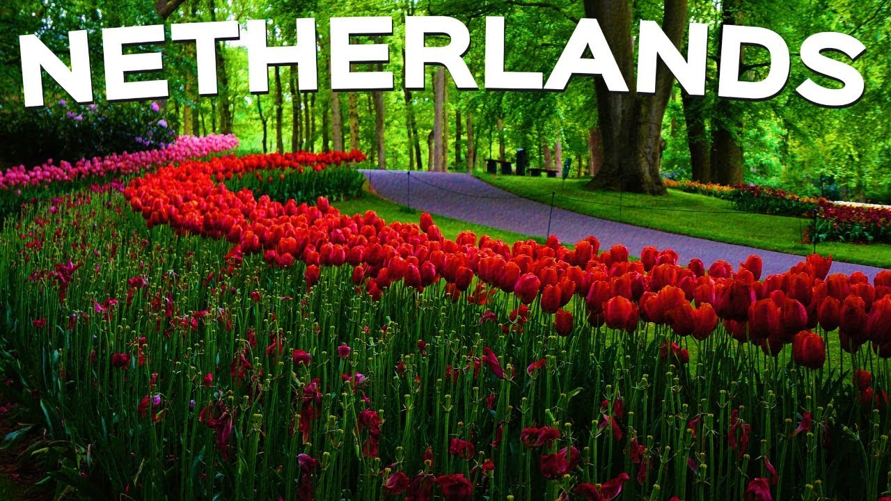 Netherlands Tulips & Timeless Charm | Most Magical Places 4K