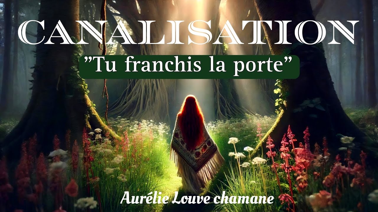 CANALISATION ✨Tu franchis la porte 🪶 Message pour toi