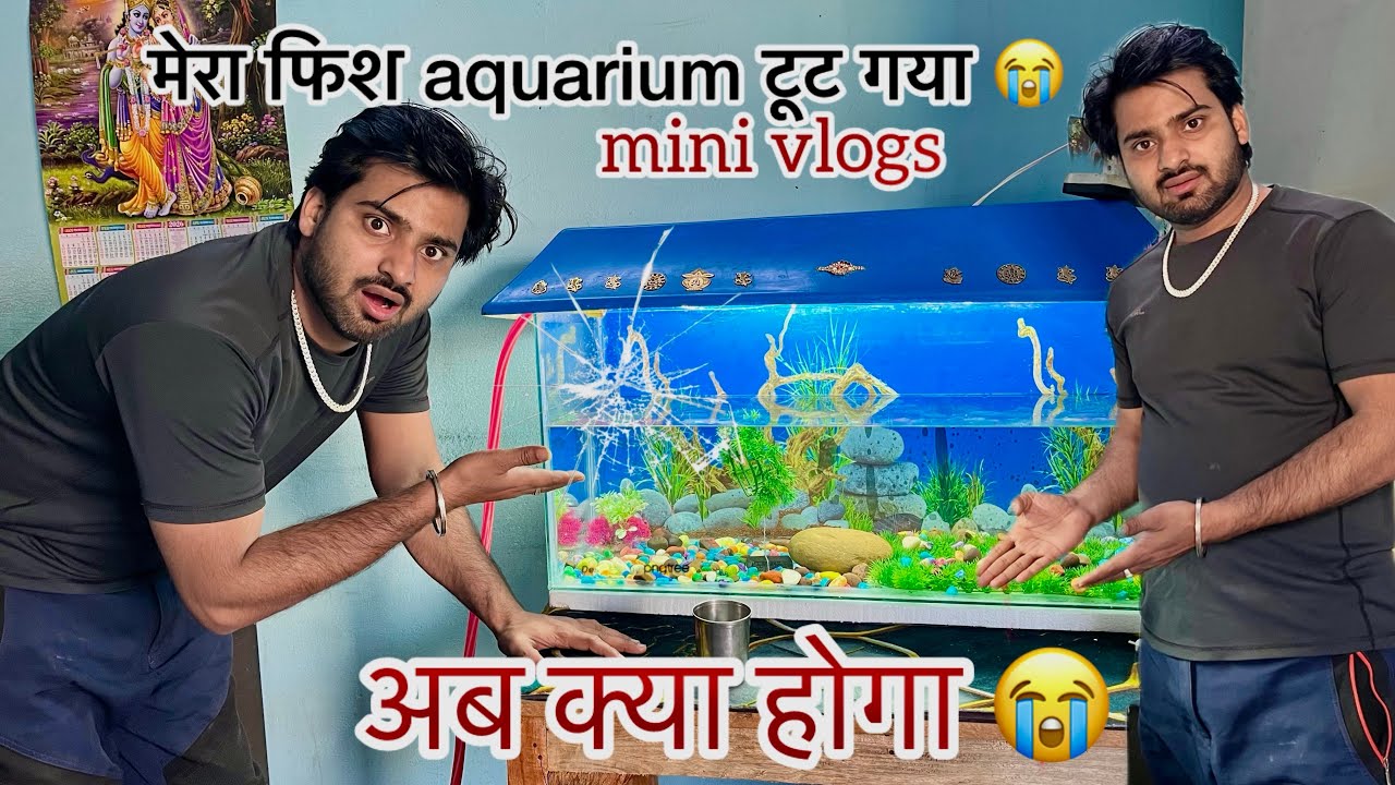 मेरा fish aquarium टूट गया 😭😭 अब क्या होगा mini vlog 2026 #vikasvlogs916 #minivlog #vlog #vlogs 