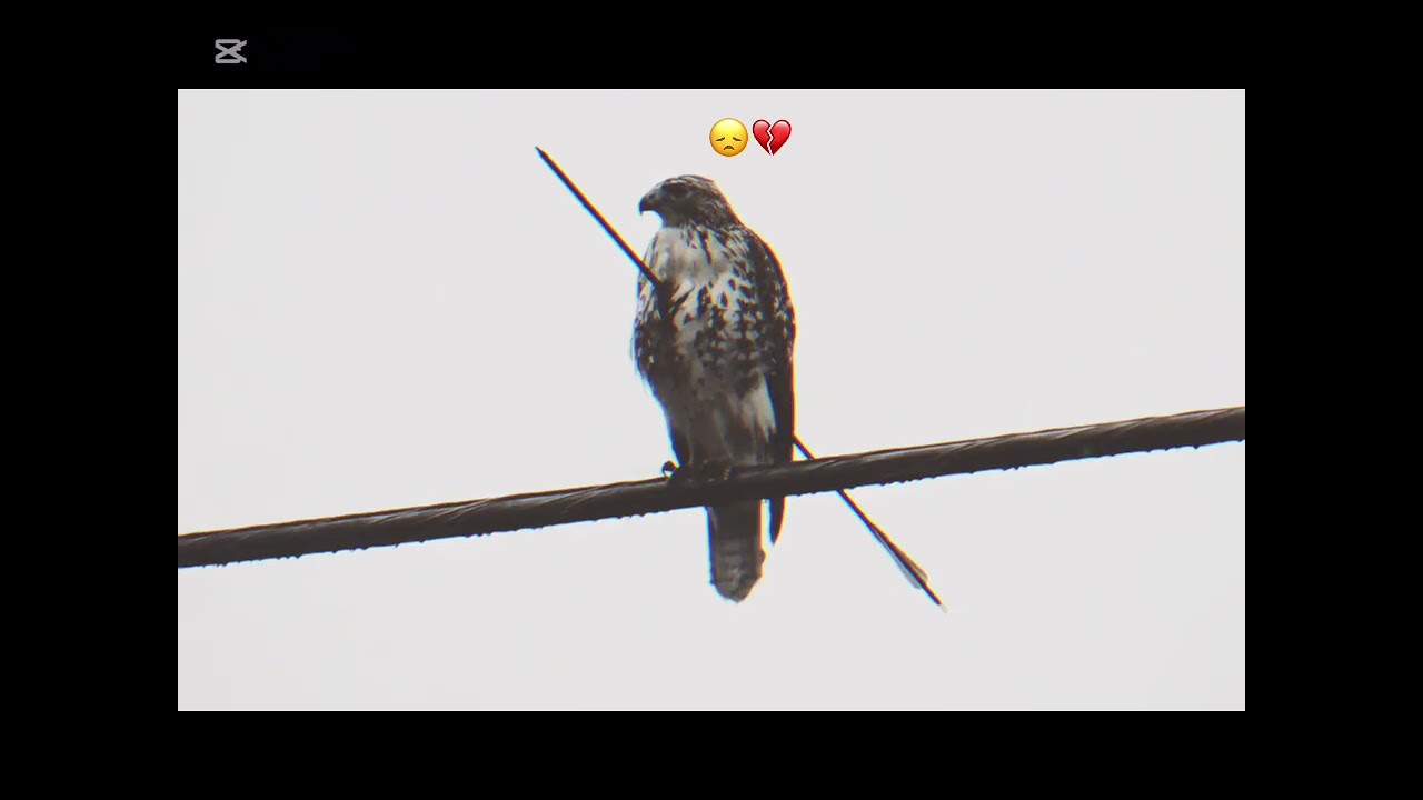 ដកដង្ហែមហូរទឹកភ្នែក🤧Sad💔 https://youtube.com/@zrnxmx-v6y?si=4uPFEvup5OHgvtTQ