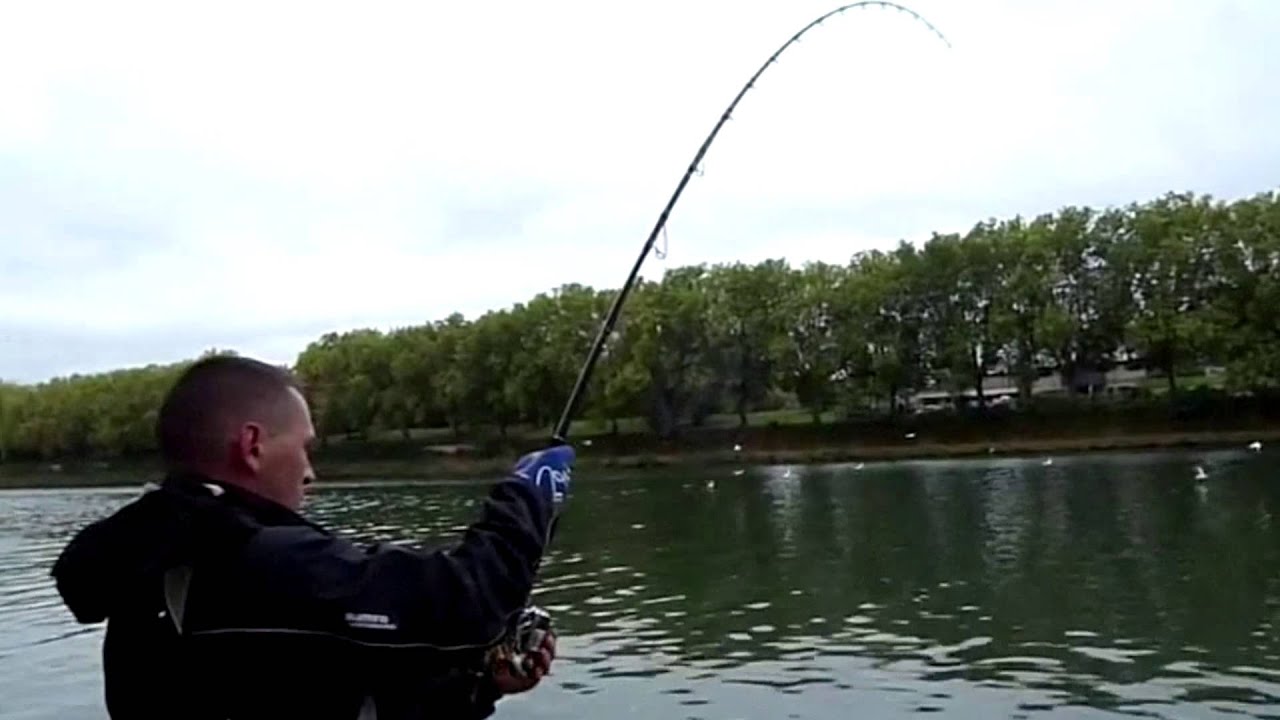 Big Silure de Seine   2+