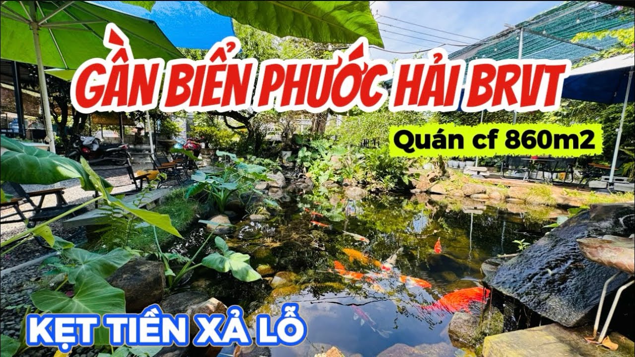 Hạ giá 700 triệu Lô đất sẵn quán cafe Sân vườn siêu đẹp (BRVT) #nhadatbaria #nhadatvungtau #nhavuon 