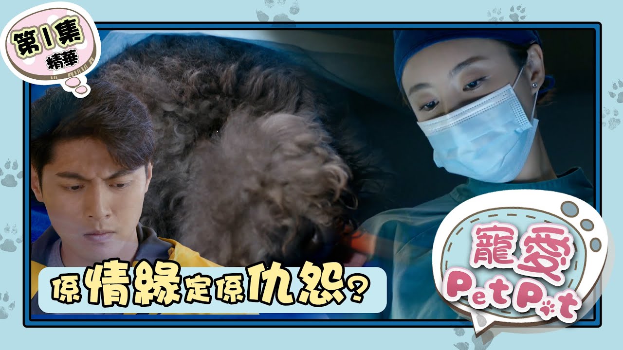 寵愛Pet Pet ｜第1集加長版精華｜係情緣定係仇怨  (繁／簡／英字幕)｜寵物｜劇集｜港劇｜電視劇