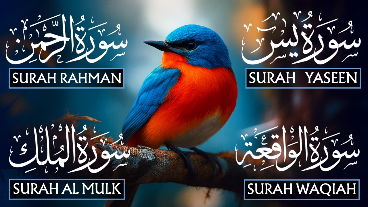 Powerful Recitation Surah Yaseen (Yasin) | Surah Rahman | Surah Waqiah | Surah Mulk | Heart Of Noor