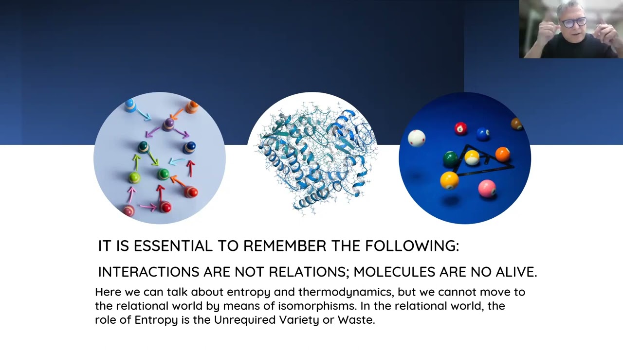 Webinar 2022 09 07 L Lavanderos, A. Malpartida. &lsquo;Ecotomo, Ecopoiesis and No Required Variety&rsquo;.