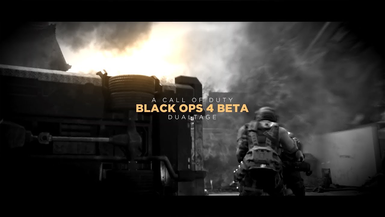 Winty & Crusy - BO4 Beta Montage