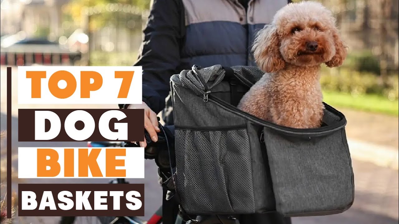 Top 7 Dog Bike Baskets for Comfort & Safety