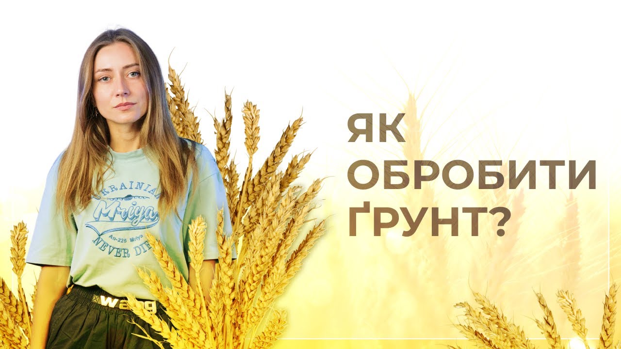 ЯК ОБРОБИТИ ГРУНТ ПІД ПОСІВ ПШЕНИЦІ?