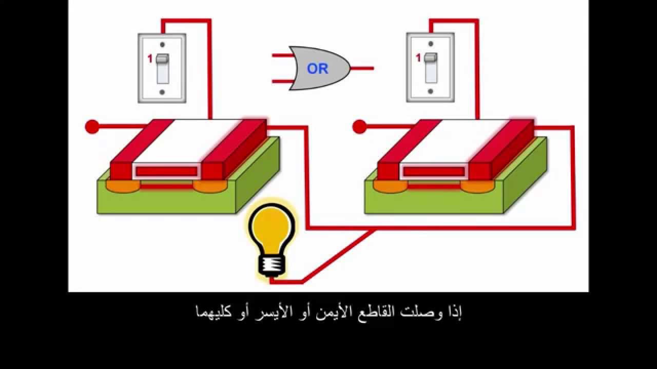 كيف تجمع الحواسيب الأرقام؟