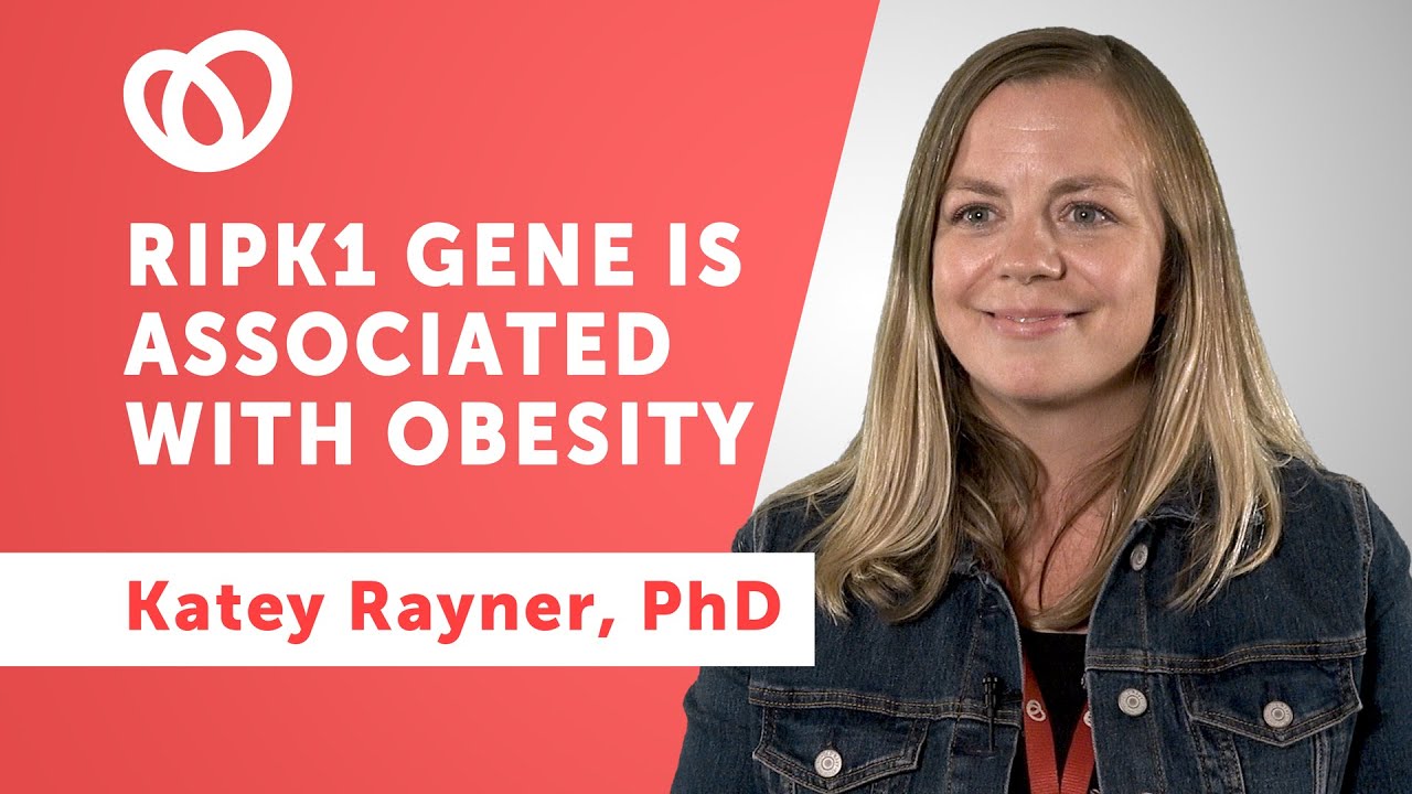 New Evidence Suggests Obesity is Caused by Inflammation, Heart Institute Scientists Say