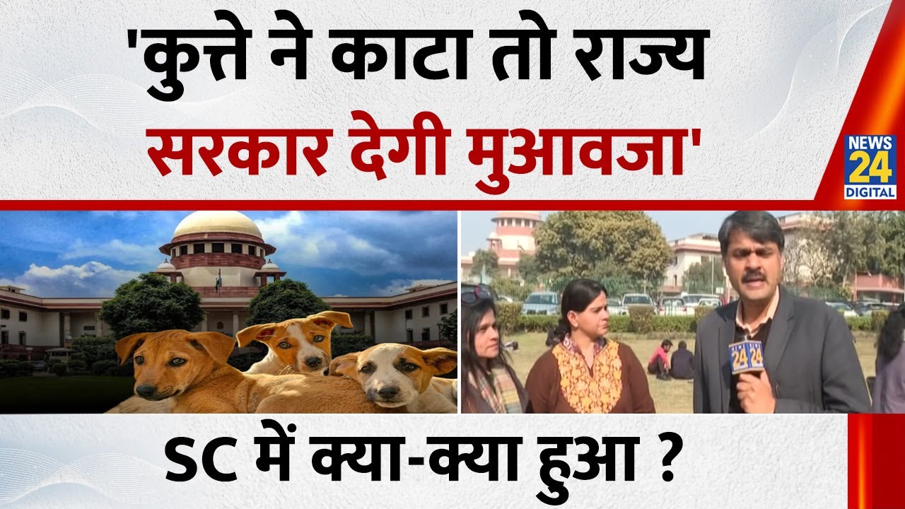 SC on Stray Dogs: Supreme court का अहम फैसला, 'कुत्ते ने काटा तो राज्य सरकार देगी मुआवजा'