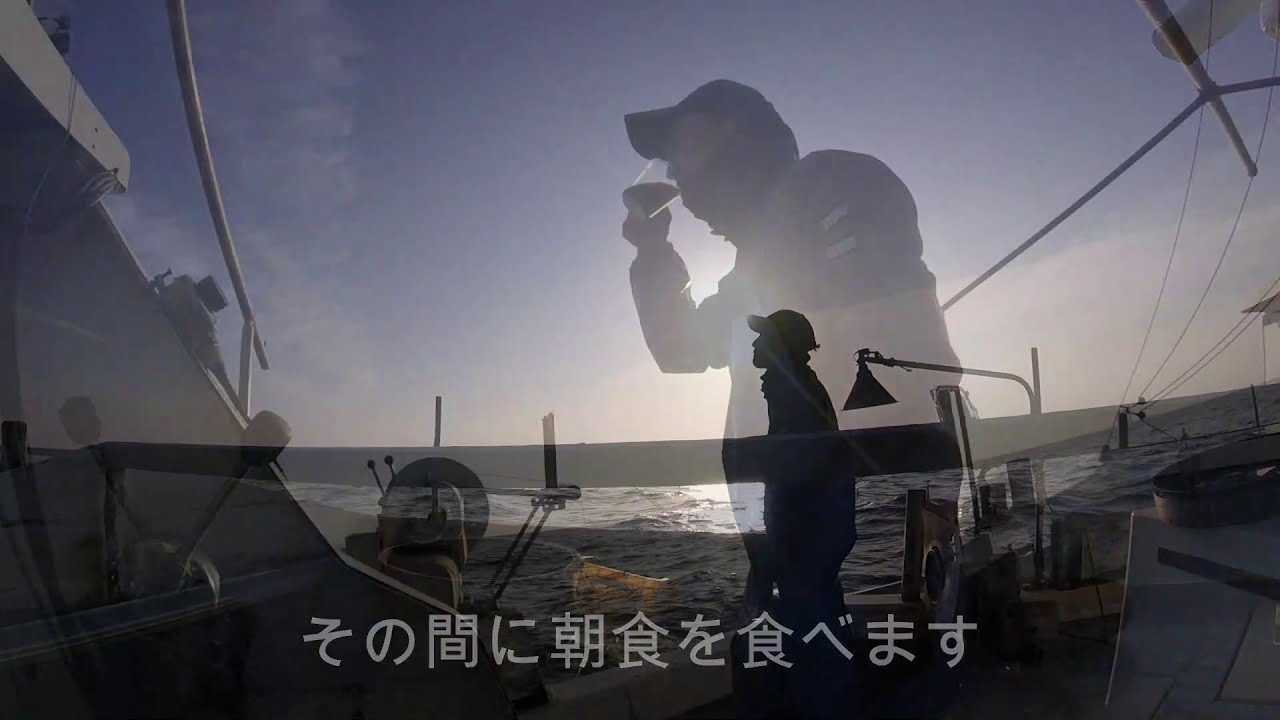 瀬戸内海周防灘（山口県上関町）のふぐ延縄漁