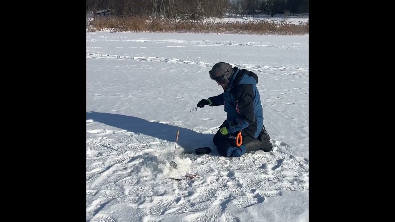 Сегодня наш улов 54 штуки 😍 #рыбалка #рыбалканаозере #winter #fishing #беларусь #зима 