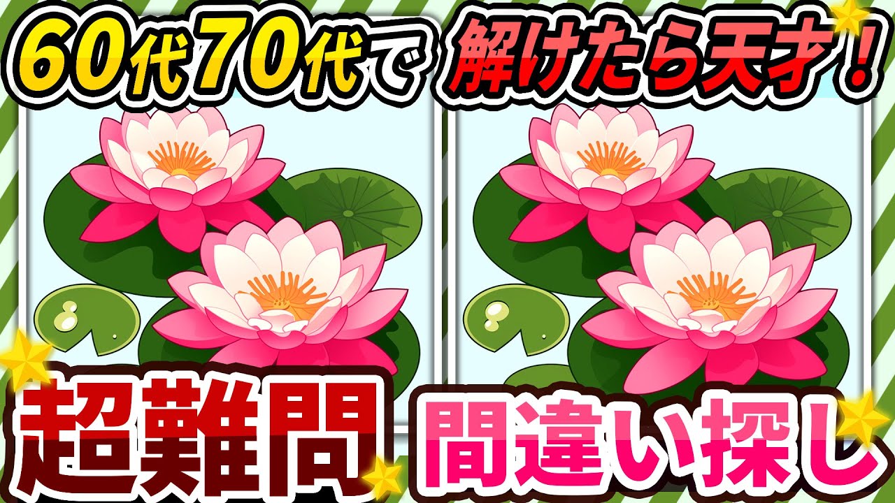 【間違い探しクイズ】⚠️むずかしい睡蓮のイラスト編！脳活＆脳トレにおススメ無料ゲーム【アハ体験有り】#174