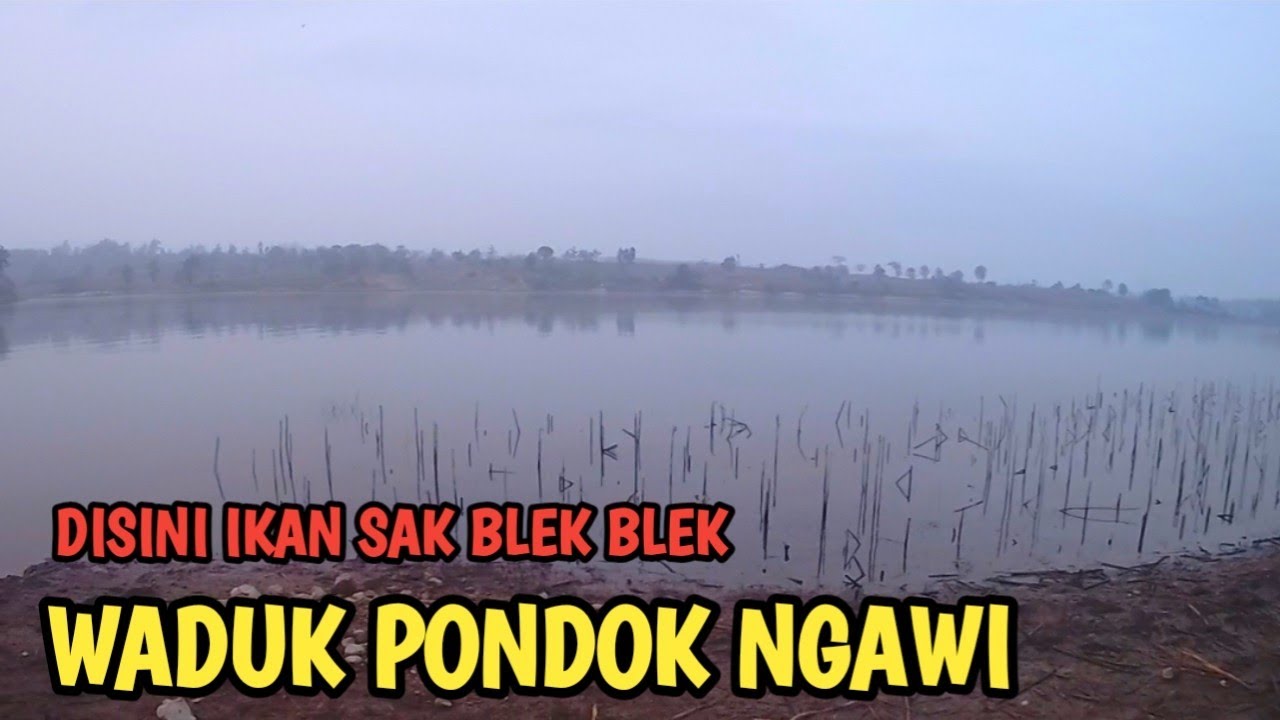 ISTIMEWA❗Sensasi Ikan Sak BLEK BLEK WADUK PONDOK NGAWI