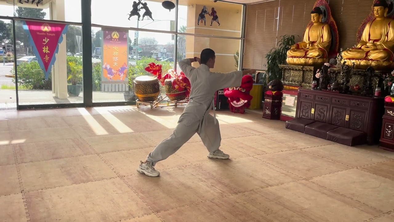 Shaolin Wellness Xinyi Fist
