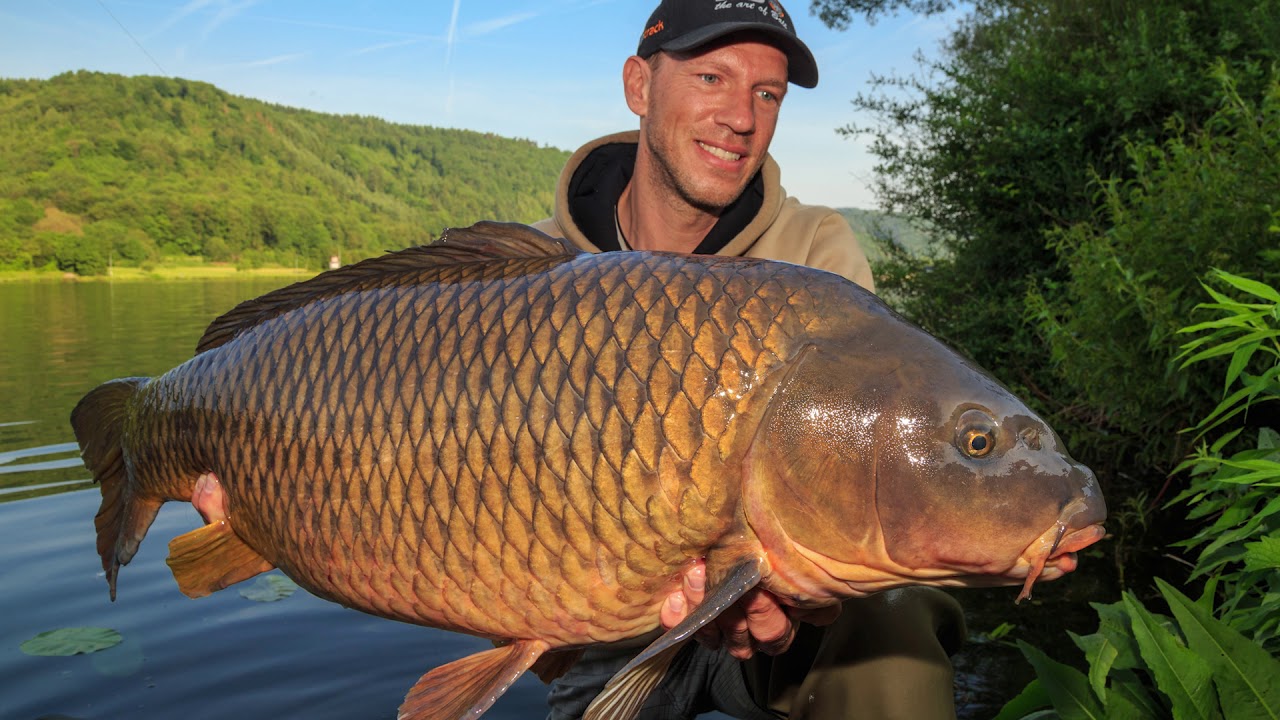 Guppy & Friends - a story from the river Mosel by Max Nollert